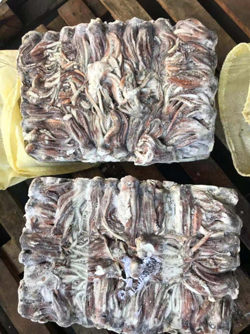 鱿鱼头