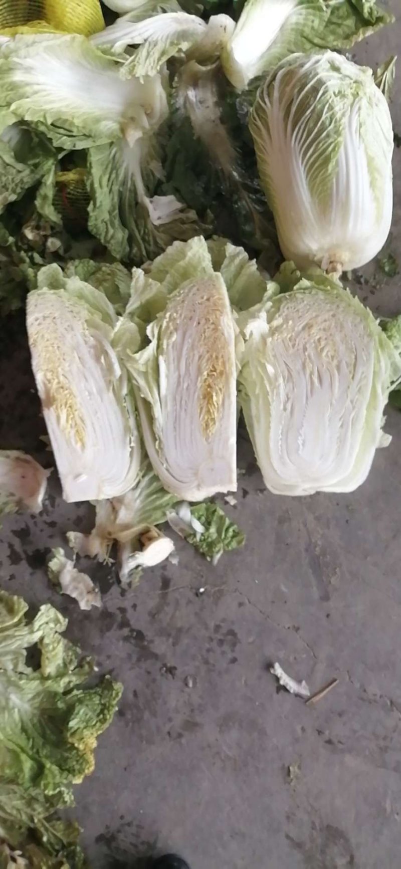 产地直销黄心白菜，品质好价格低廉，黄心叶绿帮薄，口感甜嫩