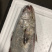 海捕大鳘鱼/灰鳘/灰米鱼/