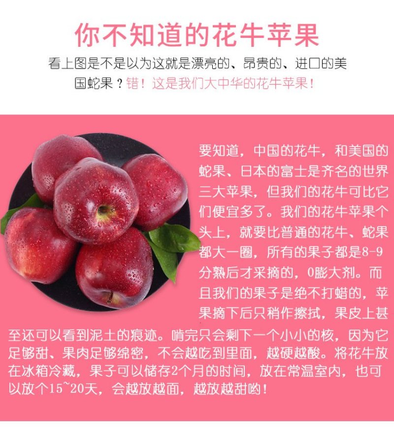 一县一品礼县花牛苹果10斤新鲜应季水果蛇果新鲜苹果包邮