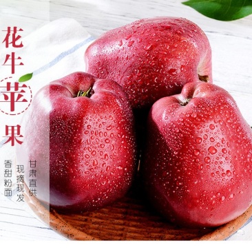一县一品礼县花牛苹果10斤新鲜应季水果蛇果新鲜苹果包邮