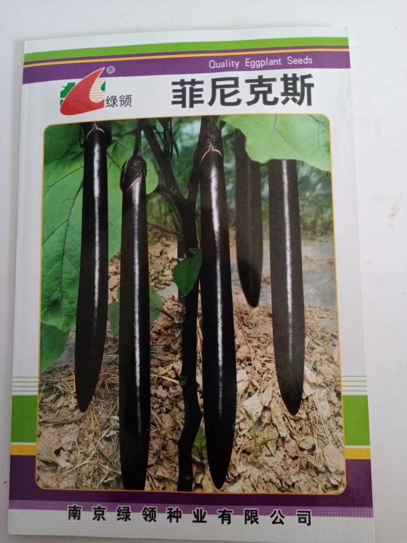 茄种子，早熟品种优胜圆茄，高产杭州红茄种子