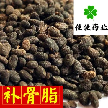 补骨脂胡韭子过风车货干净供应大货