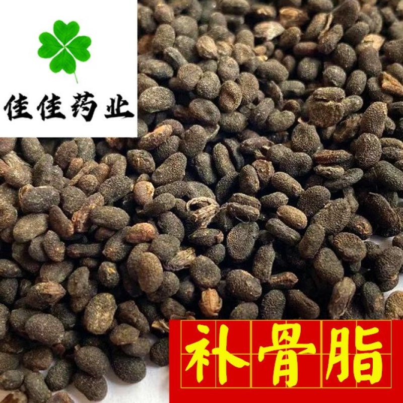 补骨脂胡韭子过风车货干净供应大货