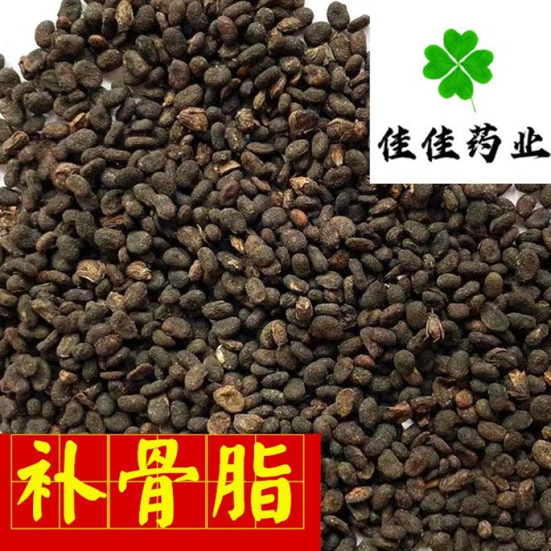 补骨脂胡韭子过风车货干净供应大货