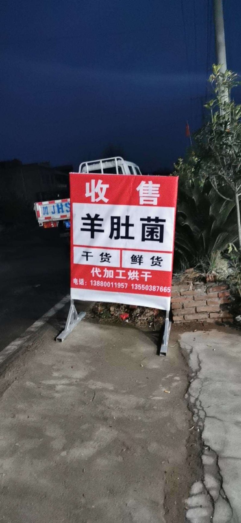 羊肚菌干货、鲜货基地直供