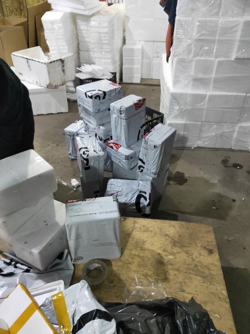 羊肚菌干货、鲜货基地直供