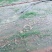 水浇地农田灌溉小麦大棚种植大蒜浇水