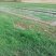 水浇地农田灌溉小麦大棚种植大蒜浇水