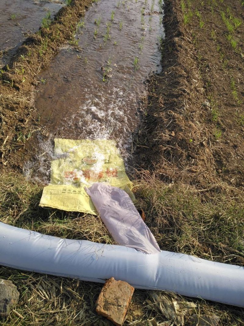 水浇地农田灌溉小麦大棚种植大蒜浇水