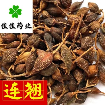 连翘青翘气蒸连翘好统货公斤价供应各种中药材