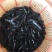 埃及鲶鱼苗八胡子鲶鱼苗保质保量+自孵水花