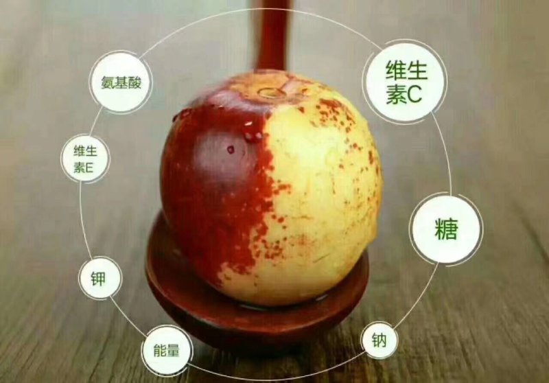 枣树苗沾化纯脆甜1到10年冬枣树苗，提供技术指导成活率高