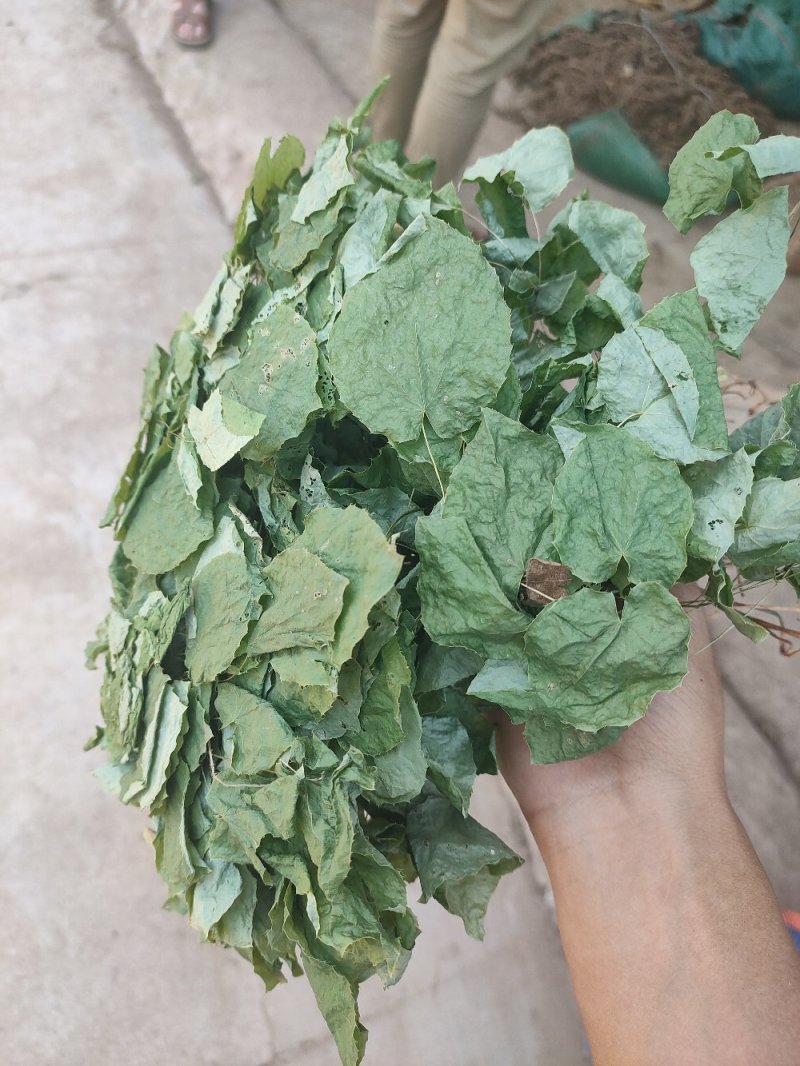 药材