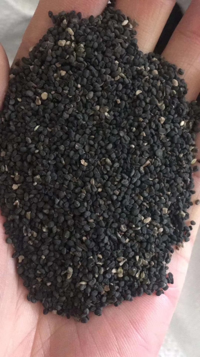 药材