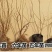 黑珍珠蓝莓苗盆栽地栽蓝莓树苗蓝莓苗蓝梅树苗南北方种植