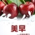 美早樱桃苗正宗嫁接苗当年结果南北方种植盆栽地栽果树苗