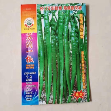苏润一椒辣椒种子，苏润一椒辣椒种子，苏润一椒辣椒种子