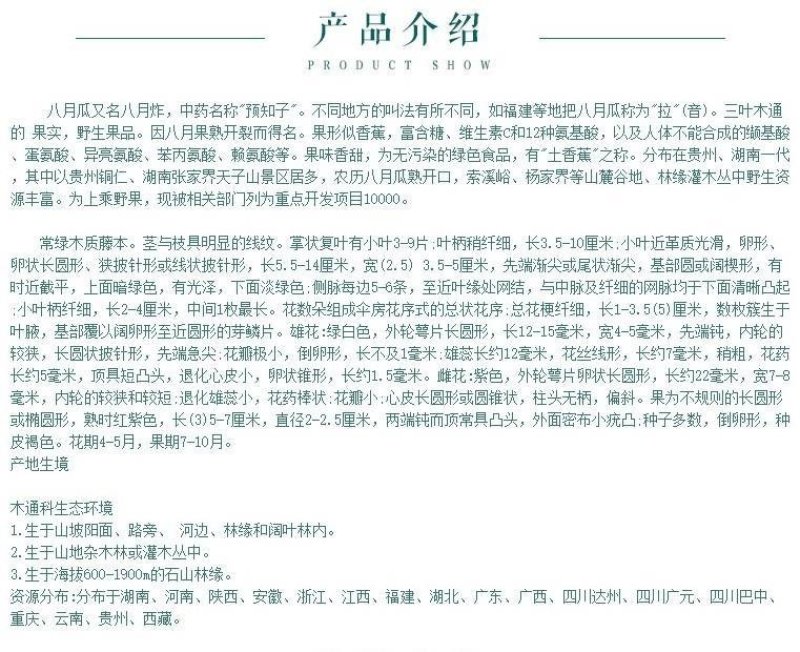 八月炸树苗8八月瓜苗三叶木通果野香蕉水果树苗盆栽种植当年