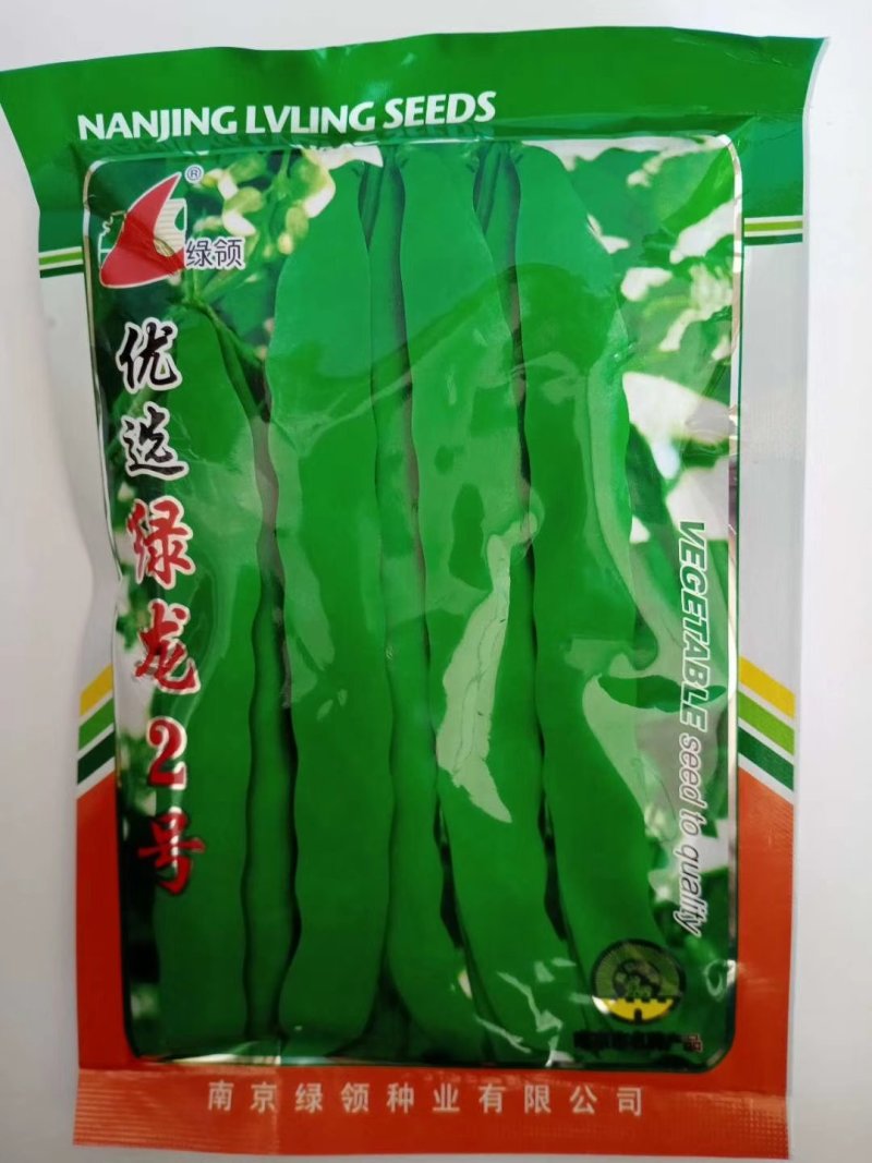金豆芸种子小金豆种子种种子高产品种种品种