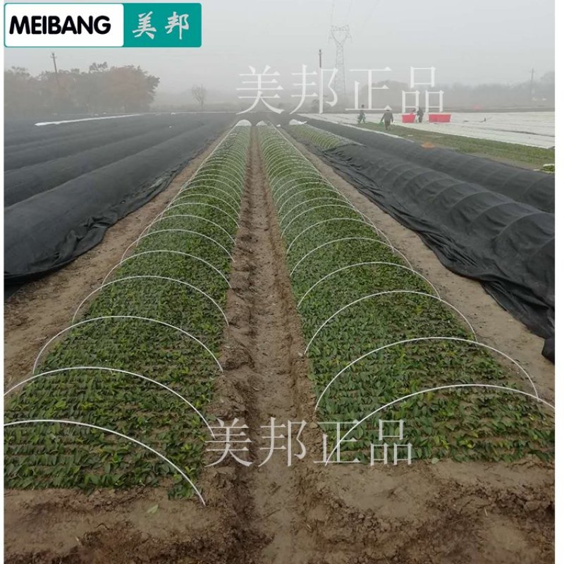 拱棚杆5mm/1.5米/1.8米/2米弓竿