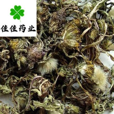蒲公英干货野生公英新货颜色好供应大货