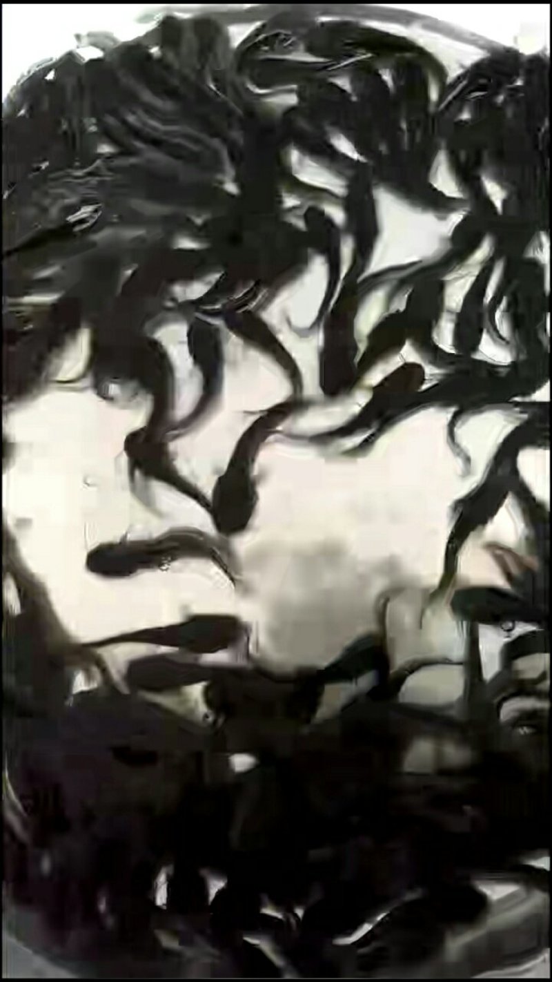 黄颡苗及各种规格，随时有货，耐运输存活率高