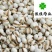薏米仁薏苡仁小粒选货食用级无硫新货另有麸炒薏米仁