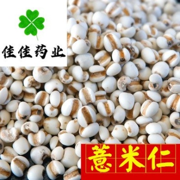 薏米仁薏苡仁小粒选货食用级无硫新货另有麸炒薏米仁