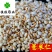薏米仁薏苡仁小粒选货食用级无硫新货另有麸炒薏米仁