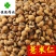 薏米仁薏苡仁小粒选货食用级无硫新货另有麸炒薏米仁