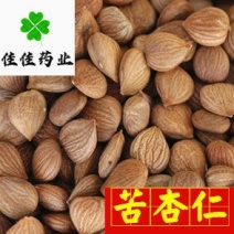 供应无硫新货苦杏仁选货看规格下单