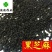 黑芝麻干净无杂质供应各种中药材