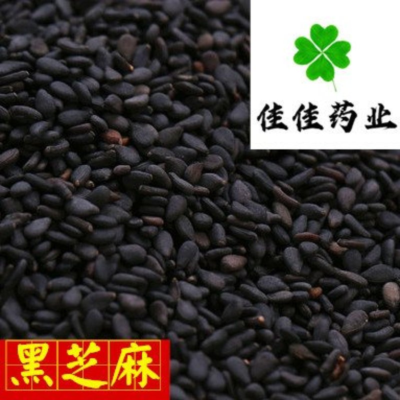 黑芝麻干净无杂质供应各种中药材