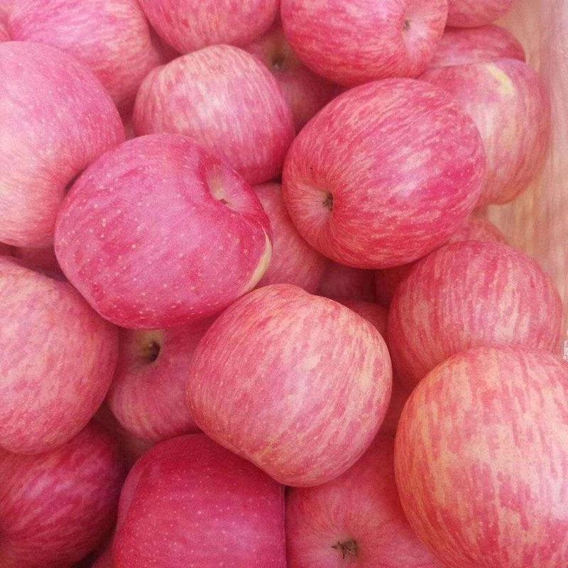 沂蒙山区，红富士苹果，产地直供我处红富士口感甜脆