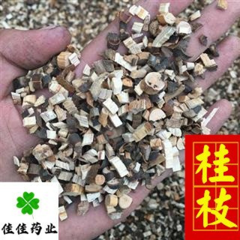 桂枝统货味道好批发走货产地直销