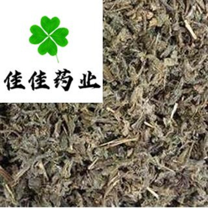 小蓟野生过筛货供应各种中药材