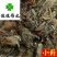 小蓟野生过筛货供应各种中药材
