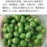 拇指西瓜种子春夏秋冬四季水果种子盆栽阳台
