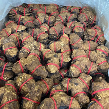 新会陈皮红线捆绑陈皮