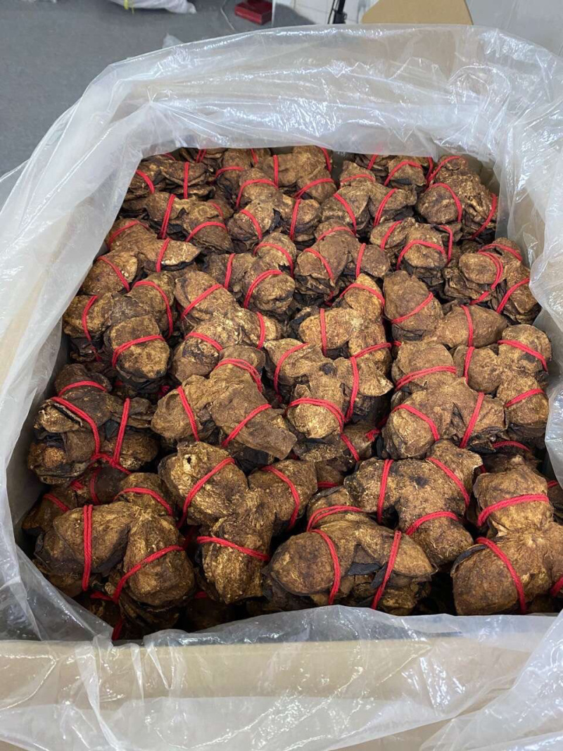 新会陈皮红线捆绑陈皮