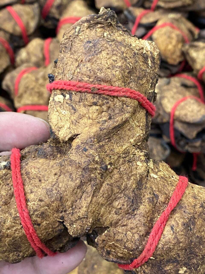新会陈皮红线捆绑陈皮
