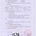 连翘苗，精品货，什么规格都有。