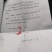 连翘苗，精品货，什么规格都有。