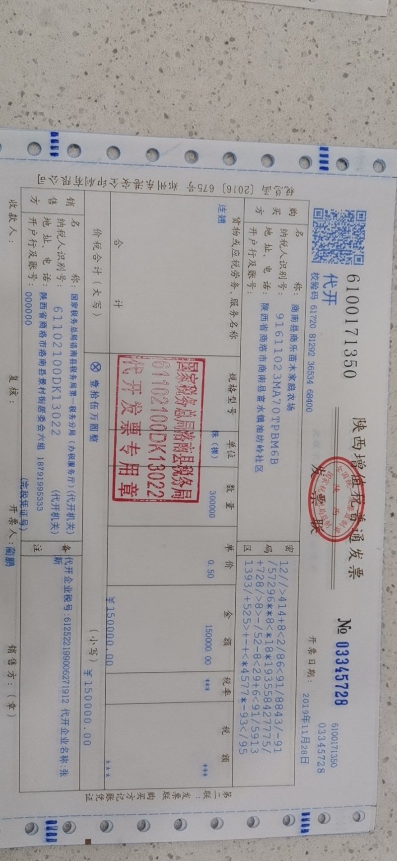 连翘苗，精品货，什么规格都有。
