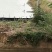 鱼池转让承包