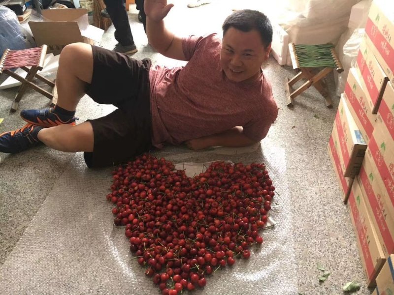山东大樱桃
