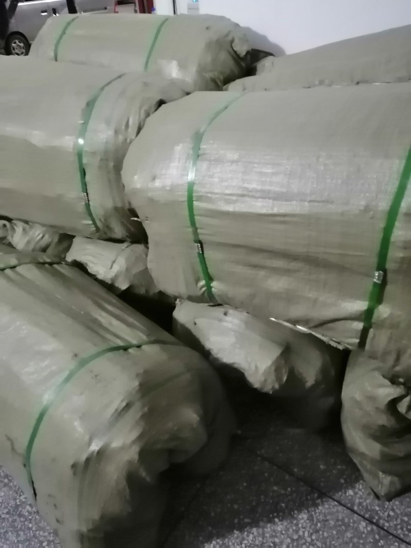 油桐苗打包发货，买油桐树苗请选择重庆俊尧专业油桐培育公司