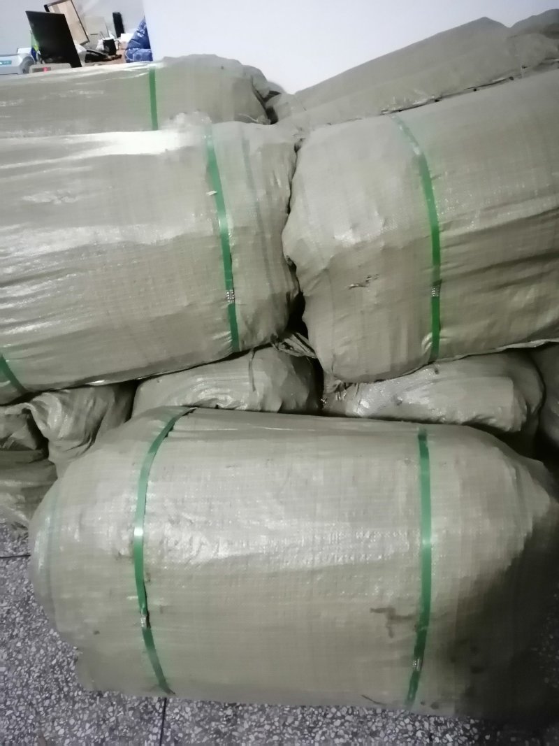 油桐苗打包发货，买油桐树苗请选择重庆俊尧专业油桐培育公司