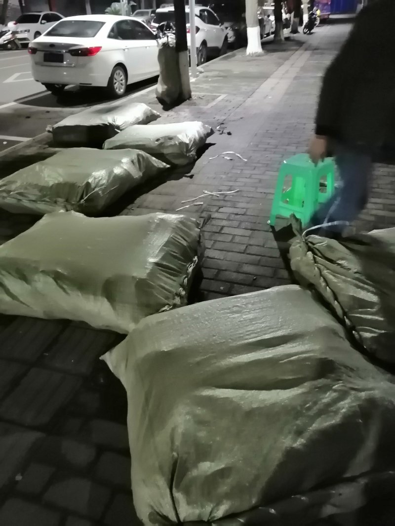 油桐苗打包发货，买油桐树苗请选择重庆俊尧专业油桐培育公司